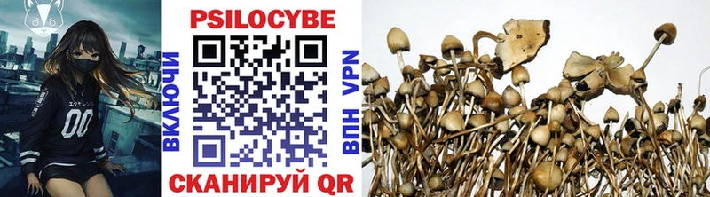 Псилоцибиновые грибы GOLDEN TEACHER  Купить закладки  Салаир 