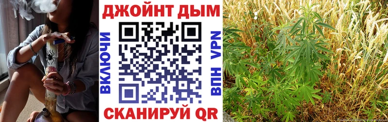 Купить закладки  Салаир  Марихуана конопля 